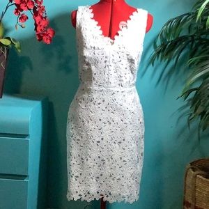 LOFT Lace Dress NWT Size 6